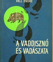 páll endre vaddisznó vadaszata