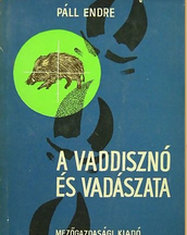 páll endre vaddisznó vadaszata