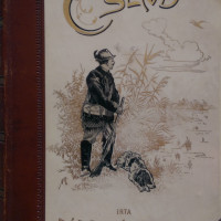 bársony istván csend