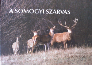 somogyi szarvas