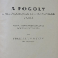 Friedreich István - A Fogoly