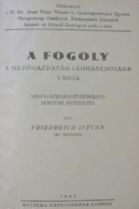 Friedreich István - A Fogoly