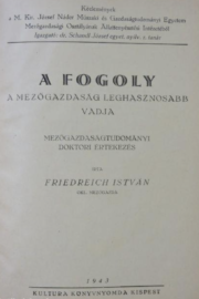Friedreich István - A Fogoly