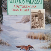 kotorékvadászat