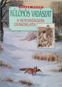 kotorékvadászat