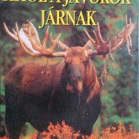 ahol a jávorok járnak