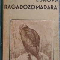 európa ragadozó madarai