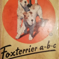 foxterreir abc