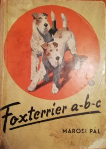 foxterreir abc