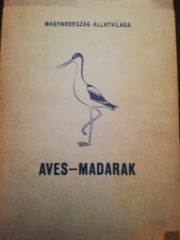 Aves - Madarak