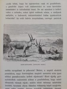 Teleki Sámuel