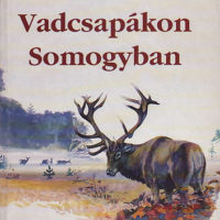 Viczián Antal - Vadcsapákon Somogyban