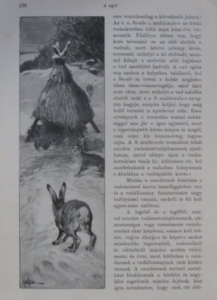 Az őz és nyúl természetrajza és vadászata 1