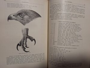 Madarász Gyula - Magyarország madarai könyv