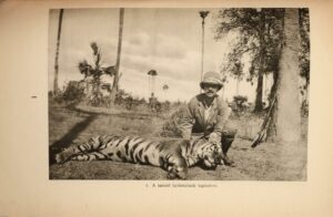 Gróf Apponyi Henrik - Úti és vadásznaplóm Indiából és a Himalayából 1930