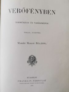 Makay Béla - Verőfényben 1905