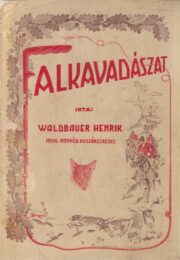 WALDBAUER Henrik Falkavadászat