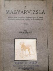 Bába Károly - A magyarvizsla 1928