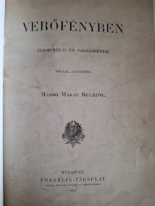 Makói Makay Béla - Verőfényben