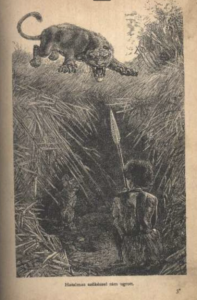 Garády Viktor - Vadászkalandok 1905