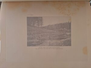 Jankó János - A magyar halászat eredete 2 kotet