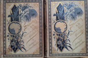 Utazásom Közép-Afrikában 1883 stanley