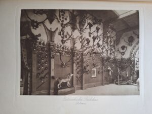 becsi vadaszati kiallitas.jpg album