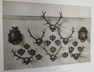 jagdaustellung 1910 wien album