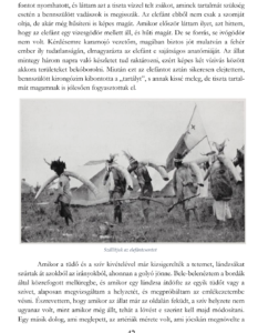 Walter Bell - Egy elefántvadász kóborlásai 1923