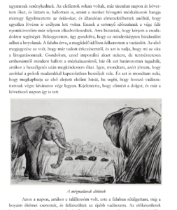 Walter Bell - Egy elefántvadász kóborlásai