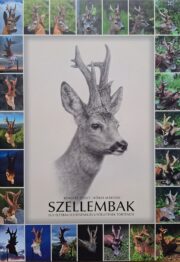 bengyel zsolt a szellembak (1)