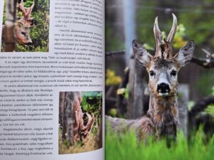 bengyel zsolt a szellembak vadaszkonyv
