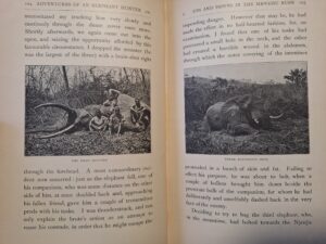 sutherland elephant hunter