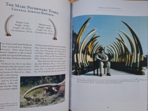 Africa Greatest Tuskers 2