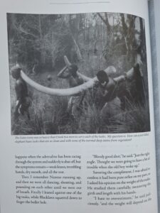 Africa Greatest Tuskers 3