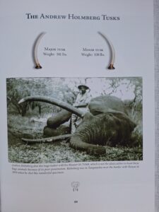 Africa Greatest Tuskers 4