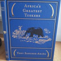 sanchez afrika elefantjai