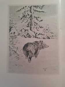 Szederjei Ákos - A Kárpáti medve