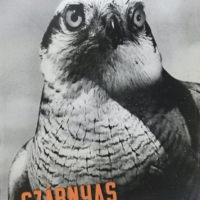 Szárnyas vadászmesterek