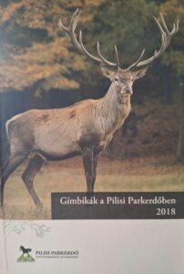 Gímbikák a Pilisi Parkerdőben 2018
